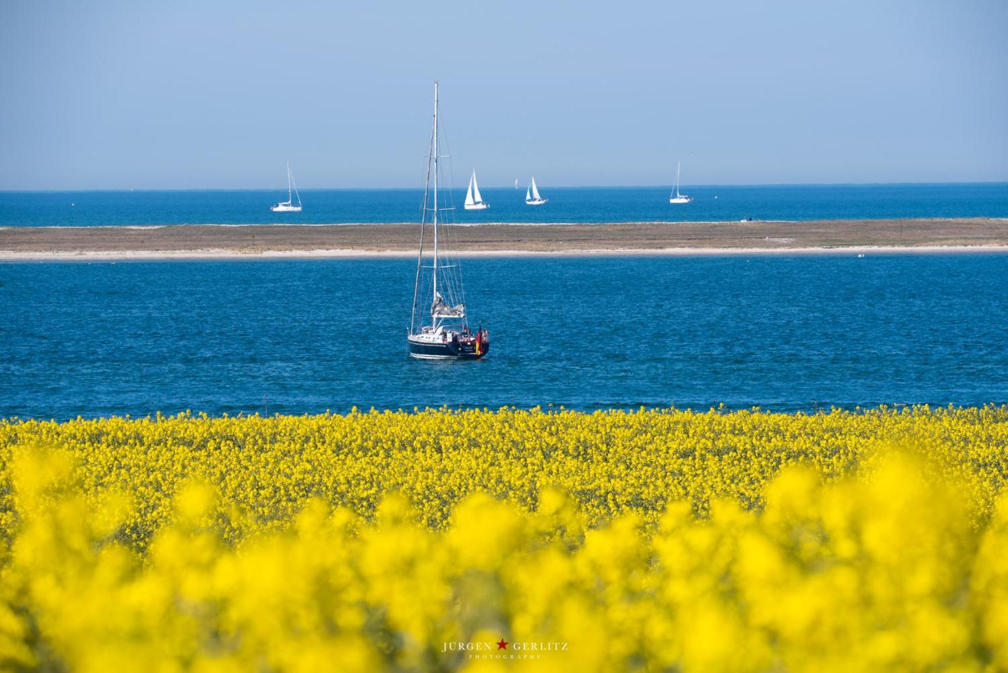 Urlaub mit Ostseeblick, Schwimmbad, Sauna&direkte Strandlage Kronsgaard Exterior foto